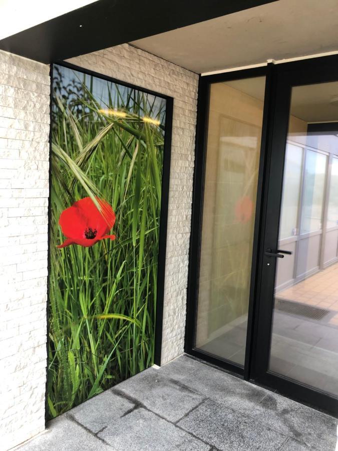 Klaproos - Modern Appartement Op Zeedijk Nieuwpoort Kültér fotó